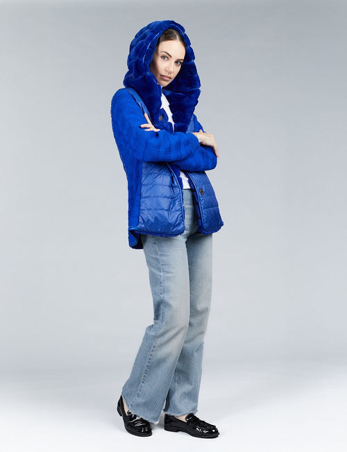 Rex jacket and reversible sweatshirt with electric blue hood, 70cm.