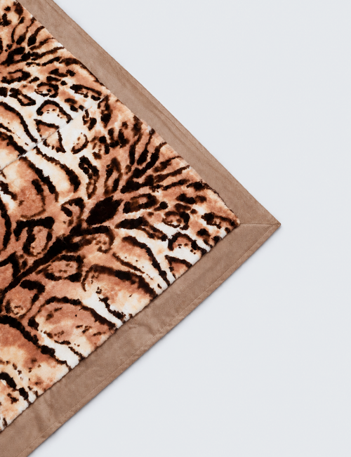 Coperta in rex
