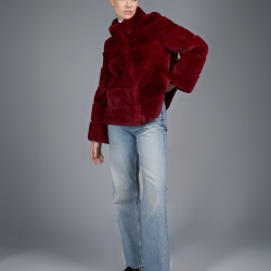 Short rex jacket with high red collar, 60cm.